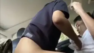 basta driver doggy lover